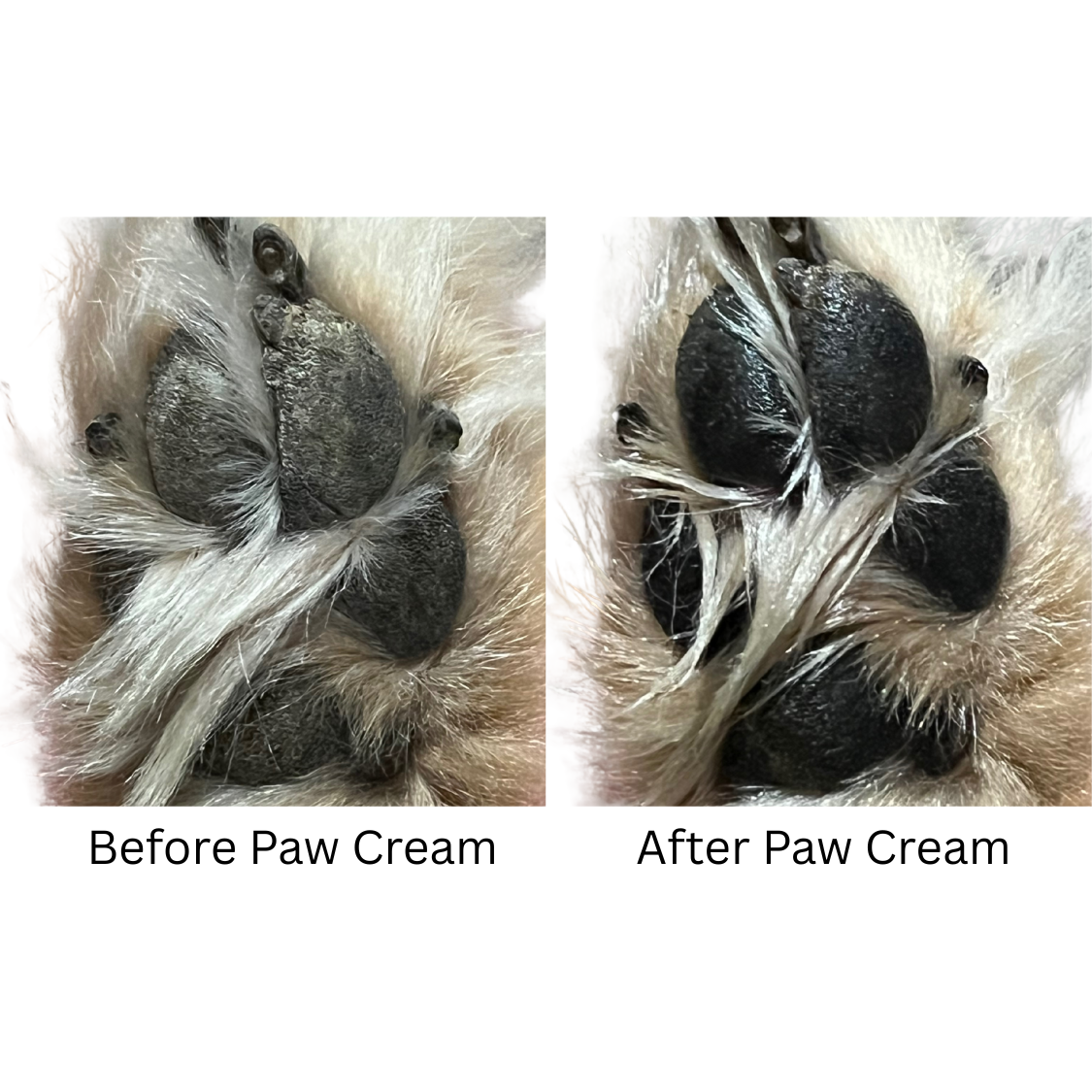 Dog Paw Cream (Local Pickup Only)